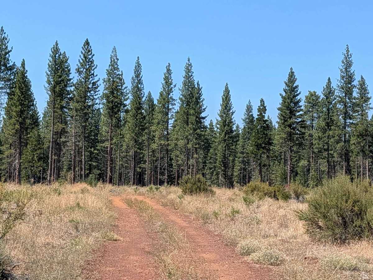 West Lava Rim - FS 40N93Y photo 2