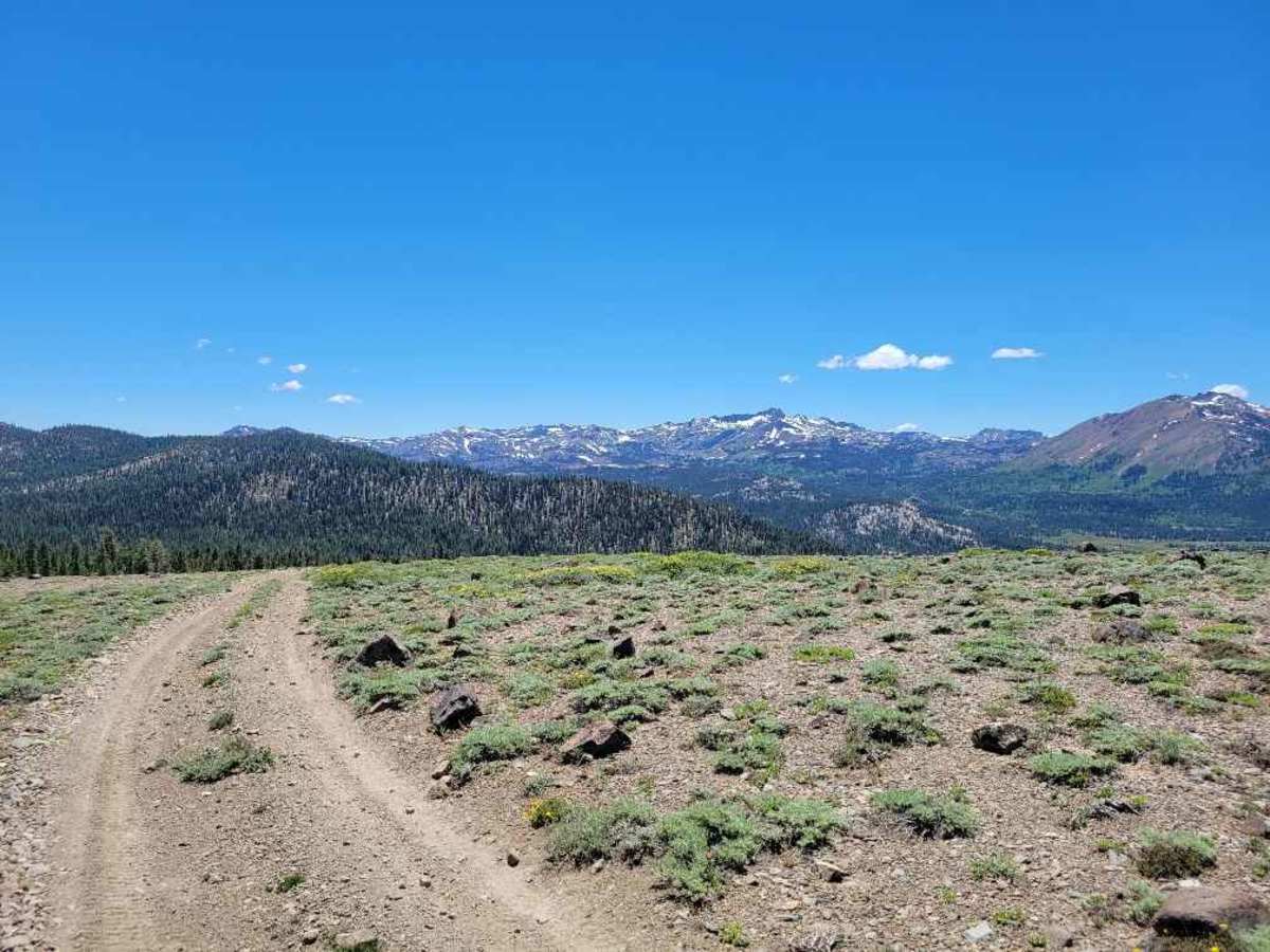 Pickett Peak Road 31053 photo 3