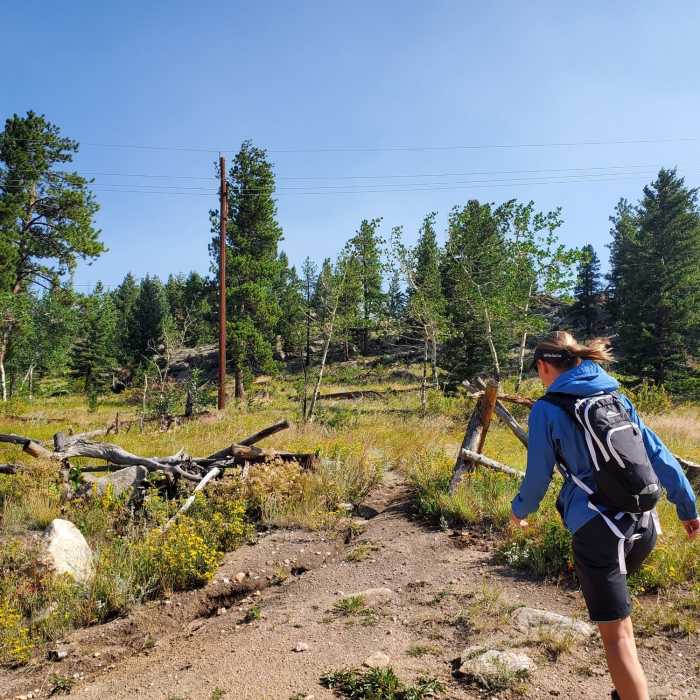 Near Twin Sisters Peak Trail
