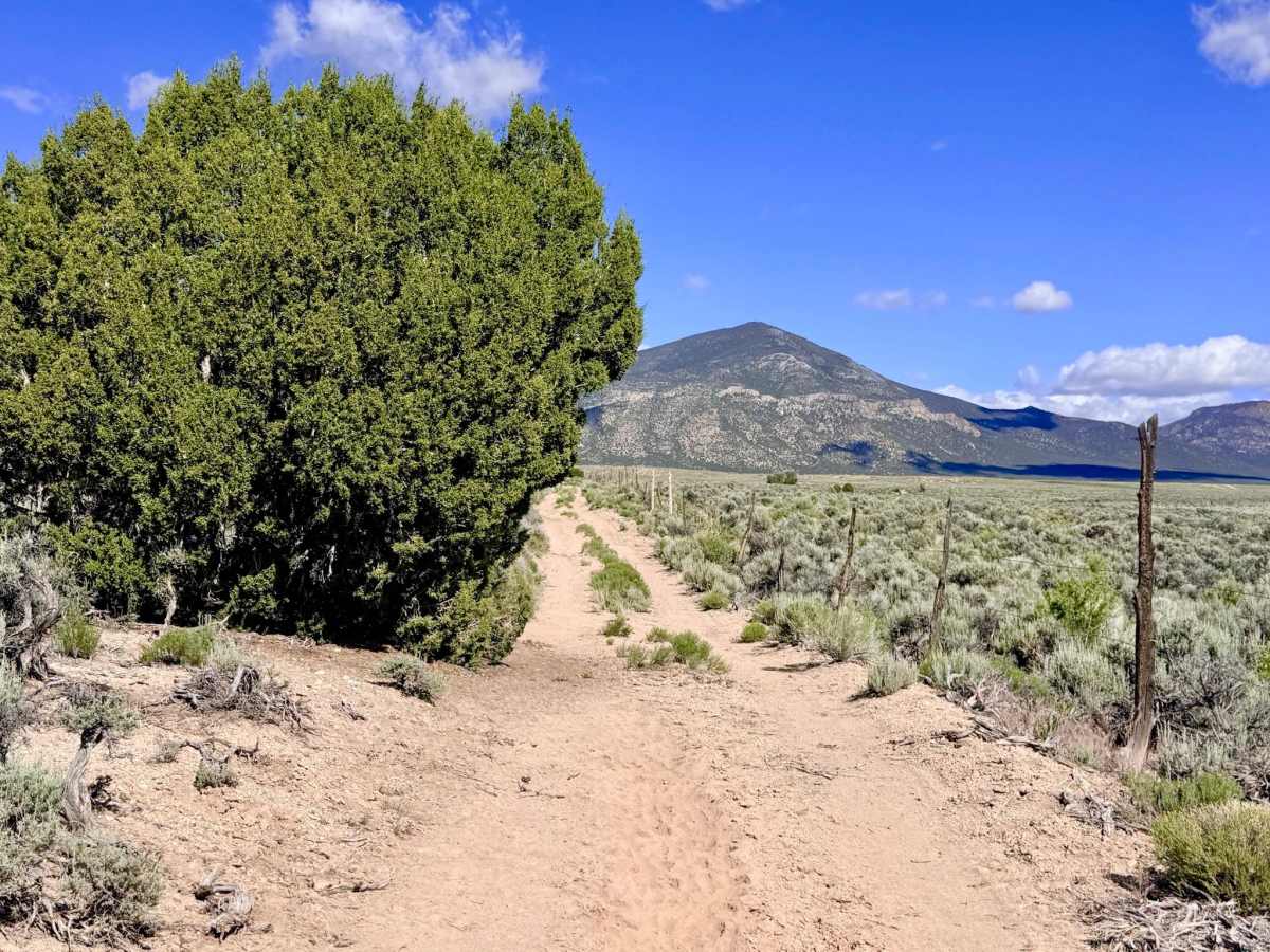 Anderson Field Road - FS 44811 photo 3