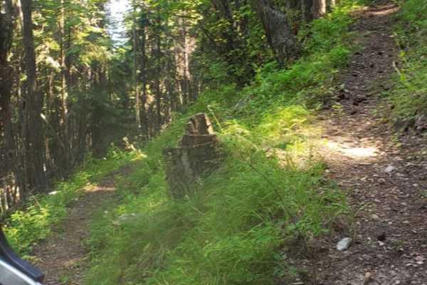 Boyd Mountain