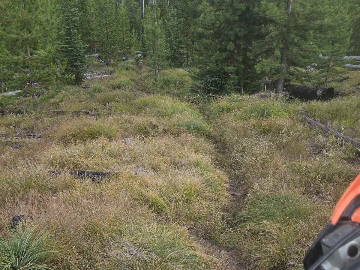 Divide Creek North trail photo
