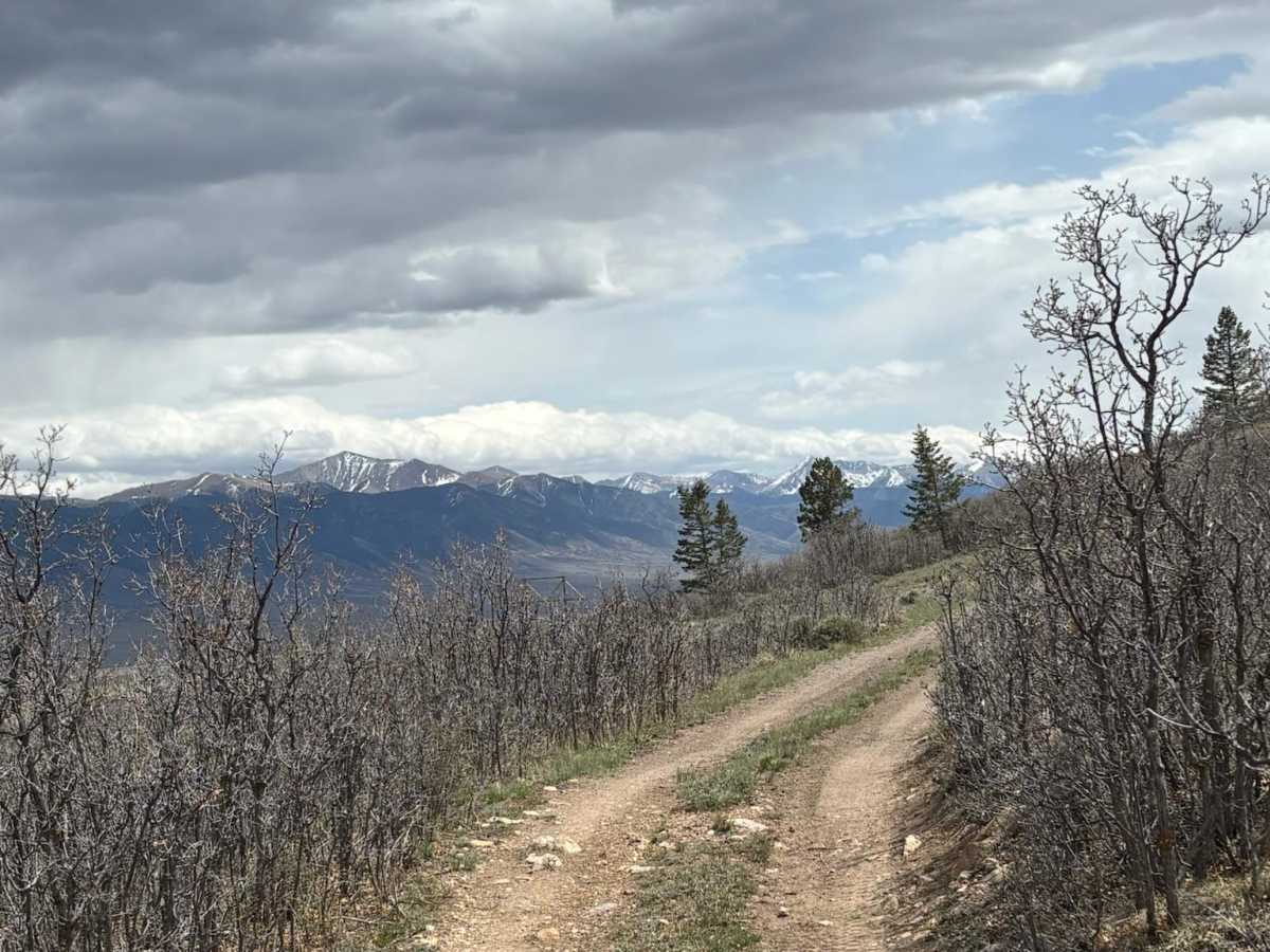 Wild Bill Gulch Road photo 2