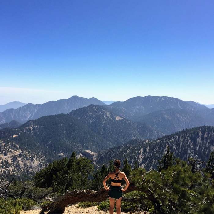 Near Pleasant View Ridge from Islip Saddle