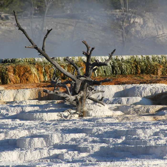 Near Upper Terrace Loop Ski Trail