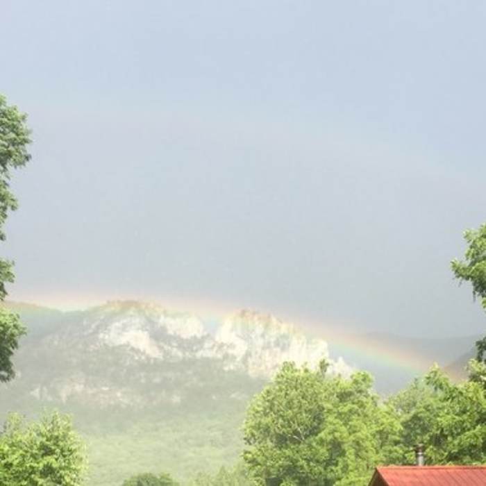 Near Seneca Rocks Trail #563
