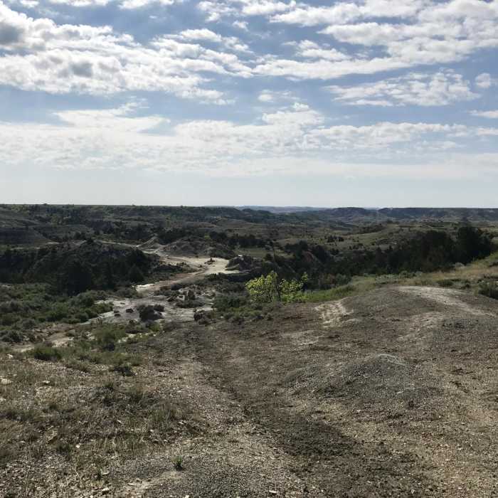 Near Petrified Trail Loop