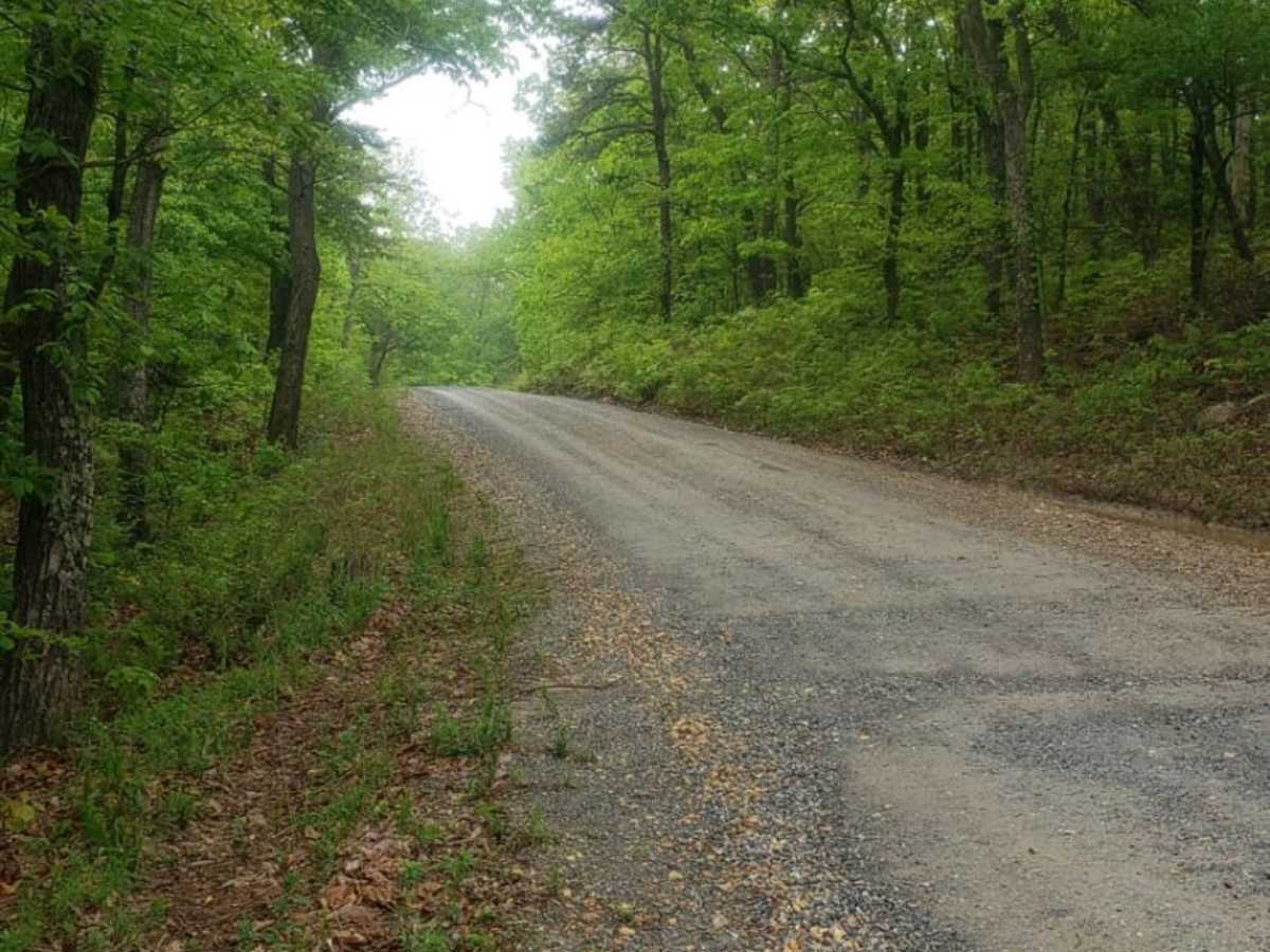 Coal Road photo 2