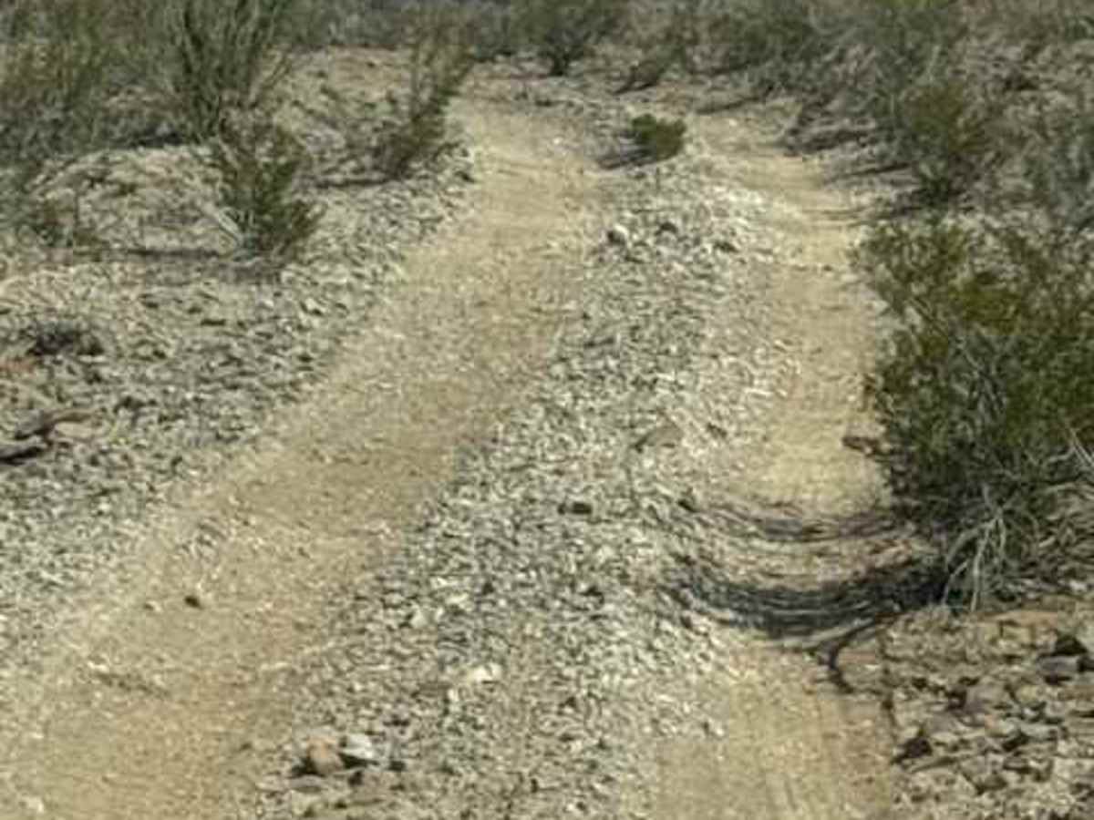 BLM PE1021 photo 3