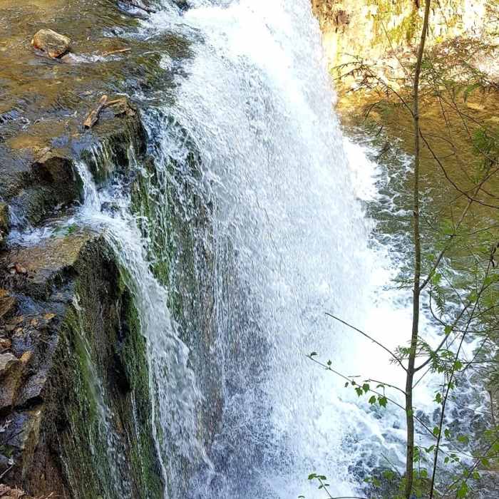 Side View of Hoggs Falls, May 15, 2021 Near Hogg's Falls Loop