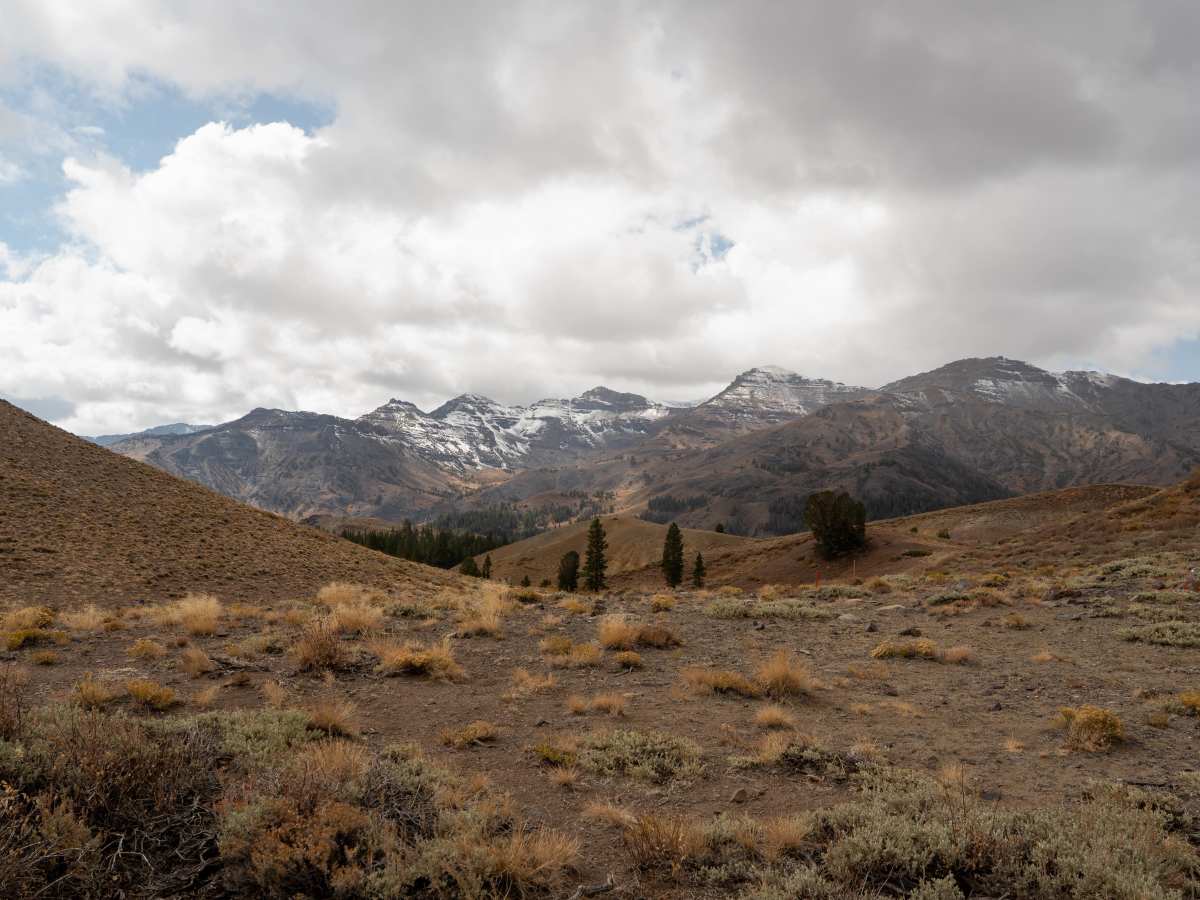 Wolf Creek trail photo