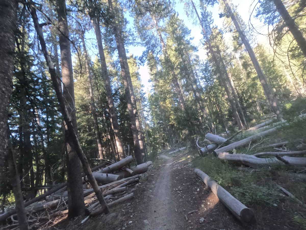 Alturas Lake-Mattingly - FS 7034 photo 3