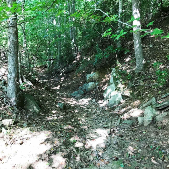 Near Cabe Lands Trail