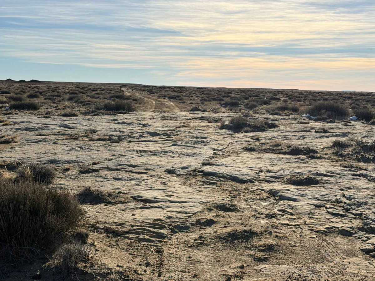 Coal Mine Road trail photo