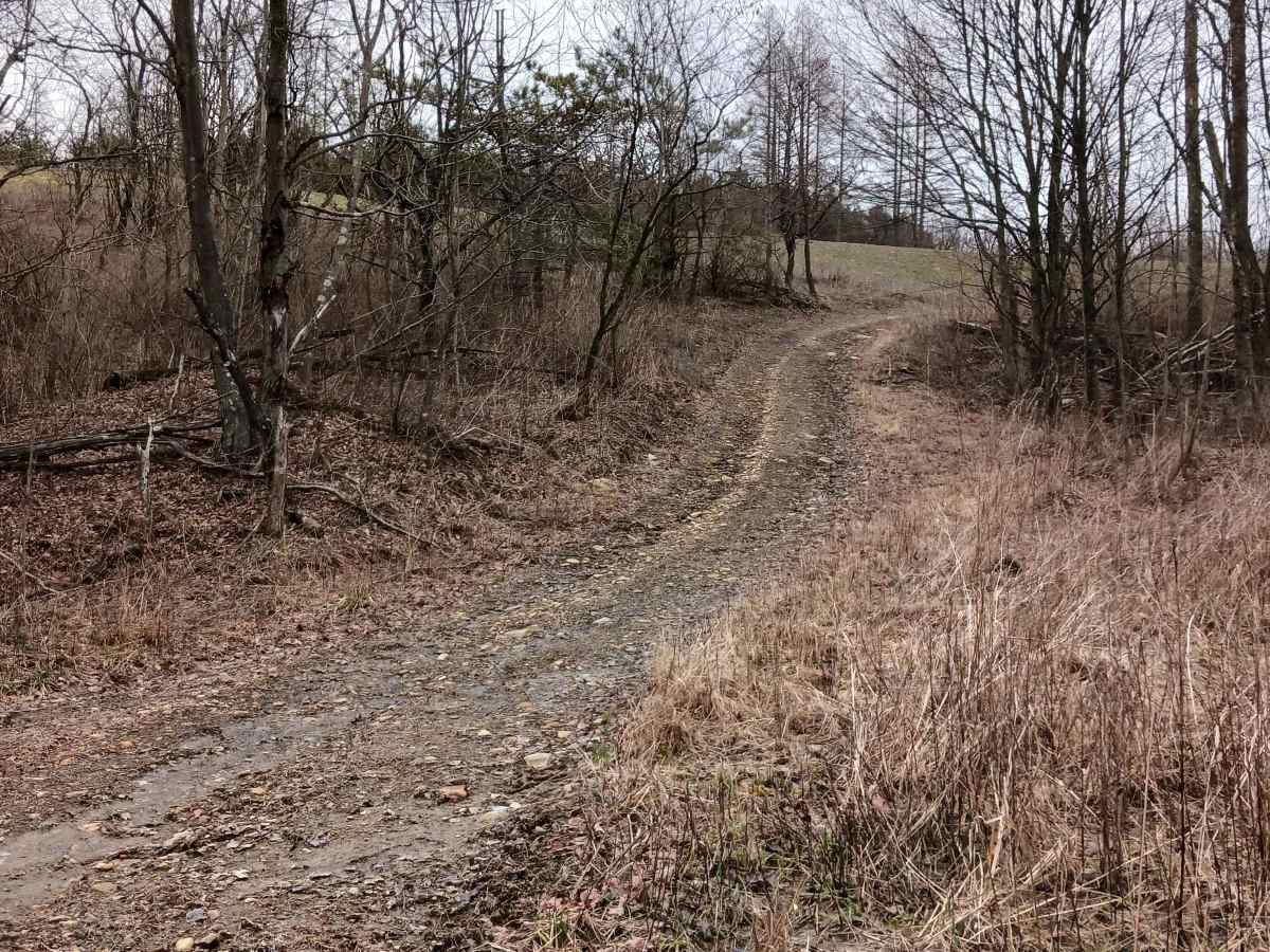 Trail 4L - Rock Run Recreation Area photo 5