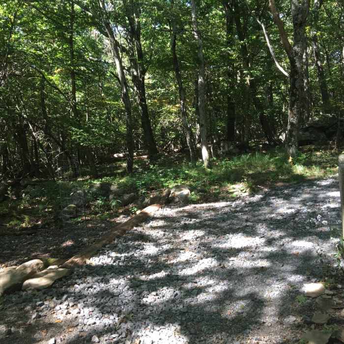 Near Upper Hawksbill Trail