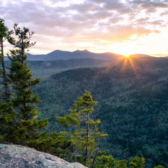 Near Sandwich Dome via Sandwich Mountain Trail + Drakes Brook Trail Near Sandwich Dome via Sandwich Mountain Trail + Drakes Brook Trail