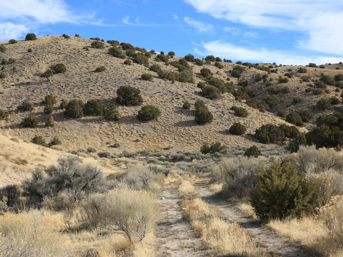 Ripple Valley Road 2.0 photo 4