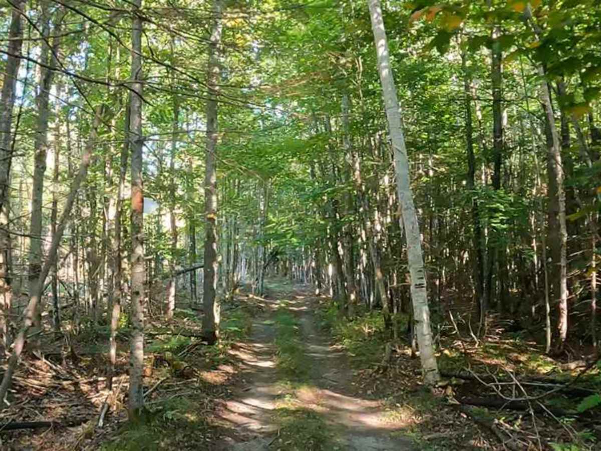Limestone Road photo 4