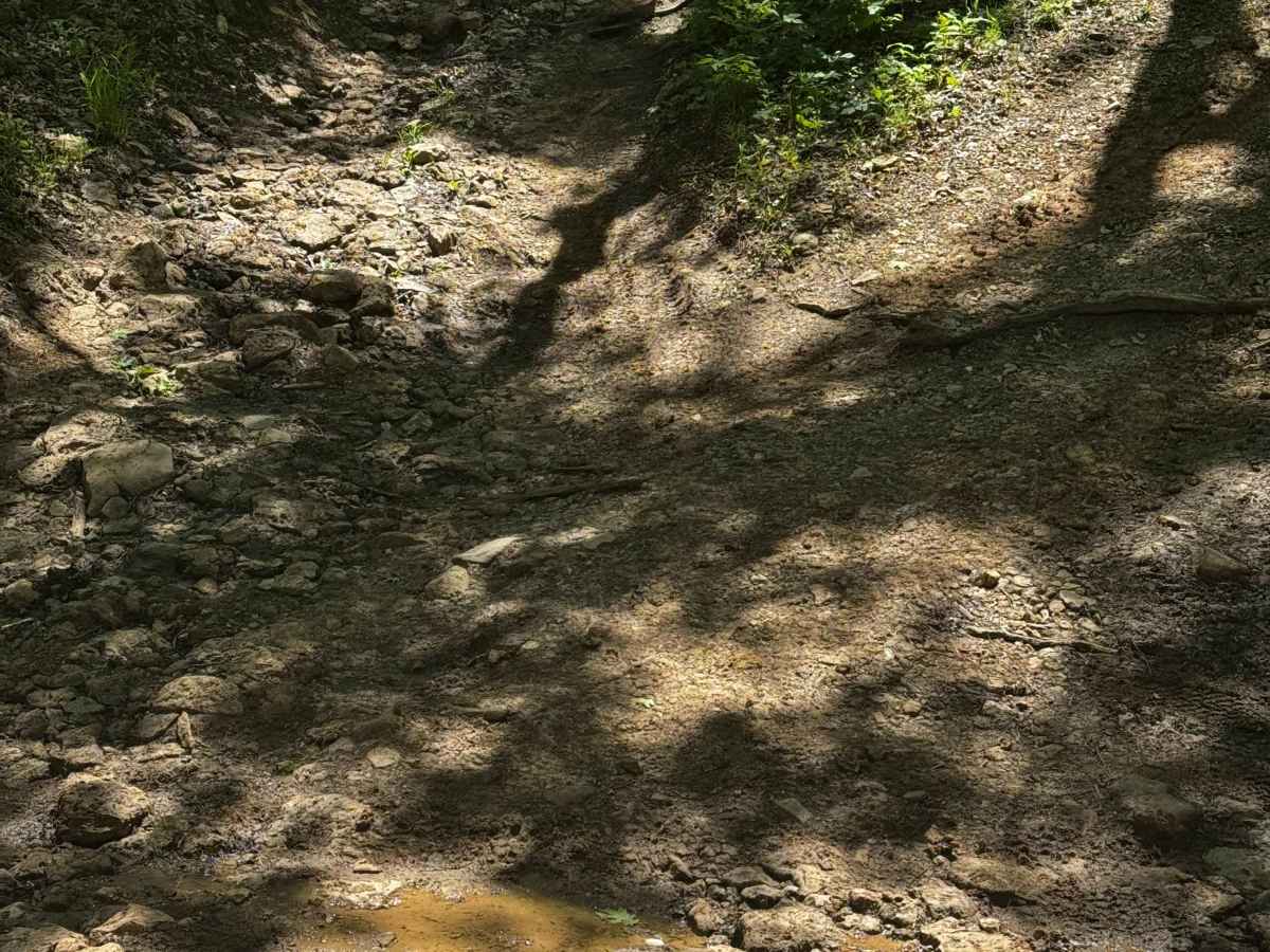 Creek Climb photo 3