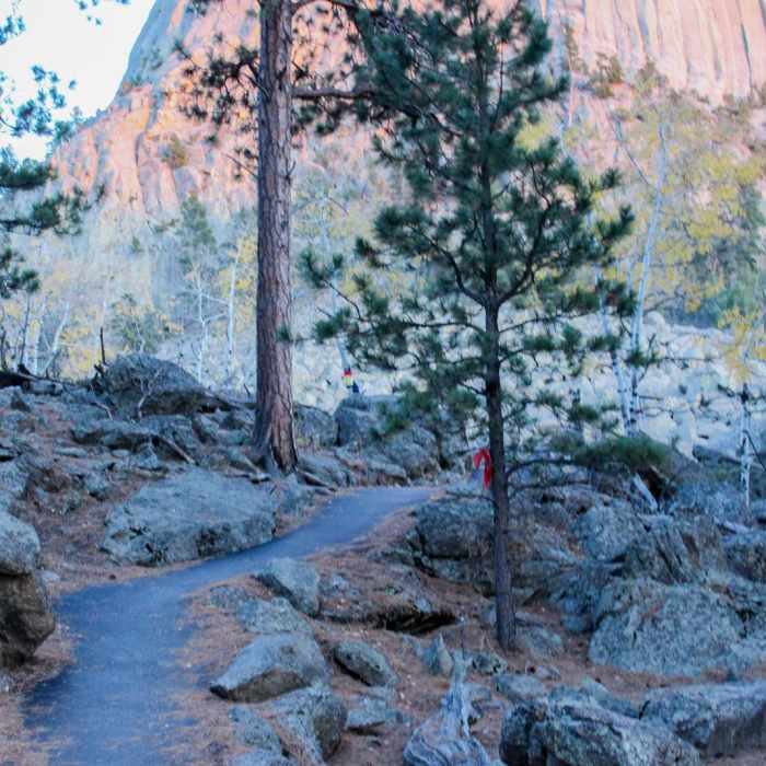 Near Tower Trail Near Tower Trail