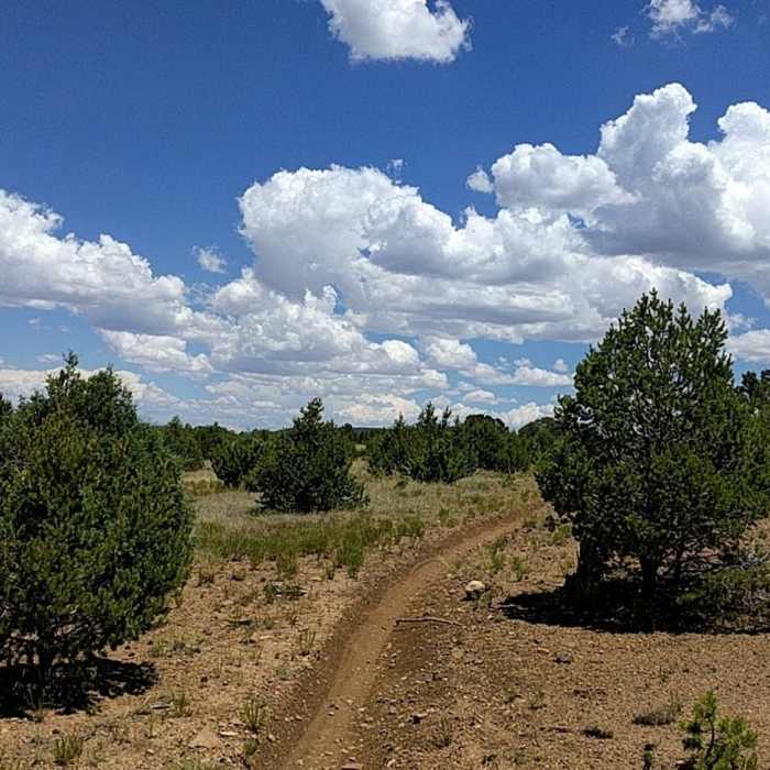 Near Otero Canyon Loop