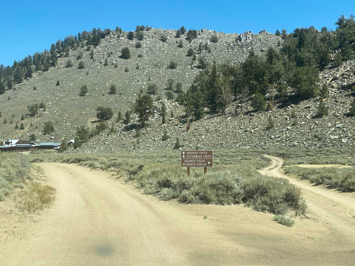 Crooked Creek Loop photo 2