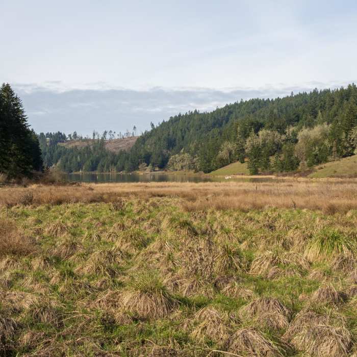 Near Cooper Creek Reservoir Trail