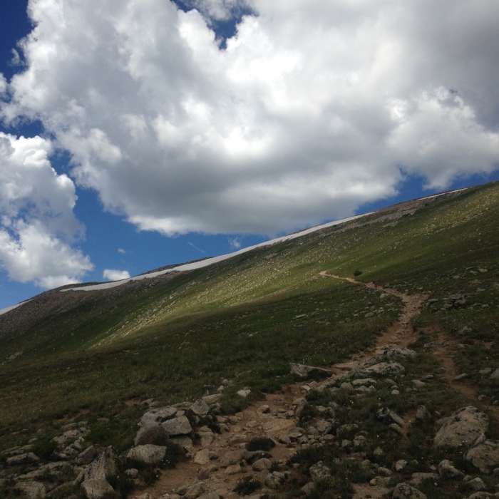 Near Canyon Creek Trail