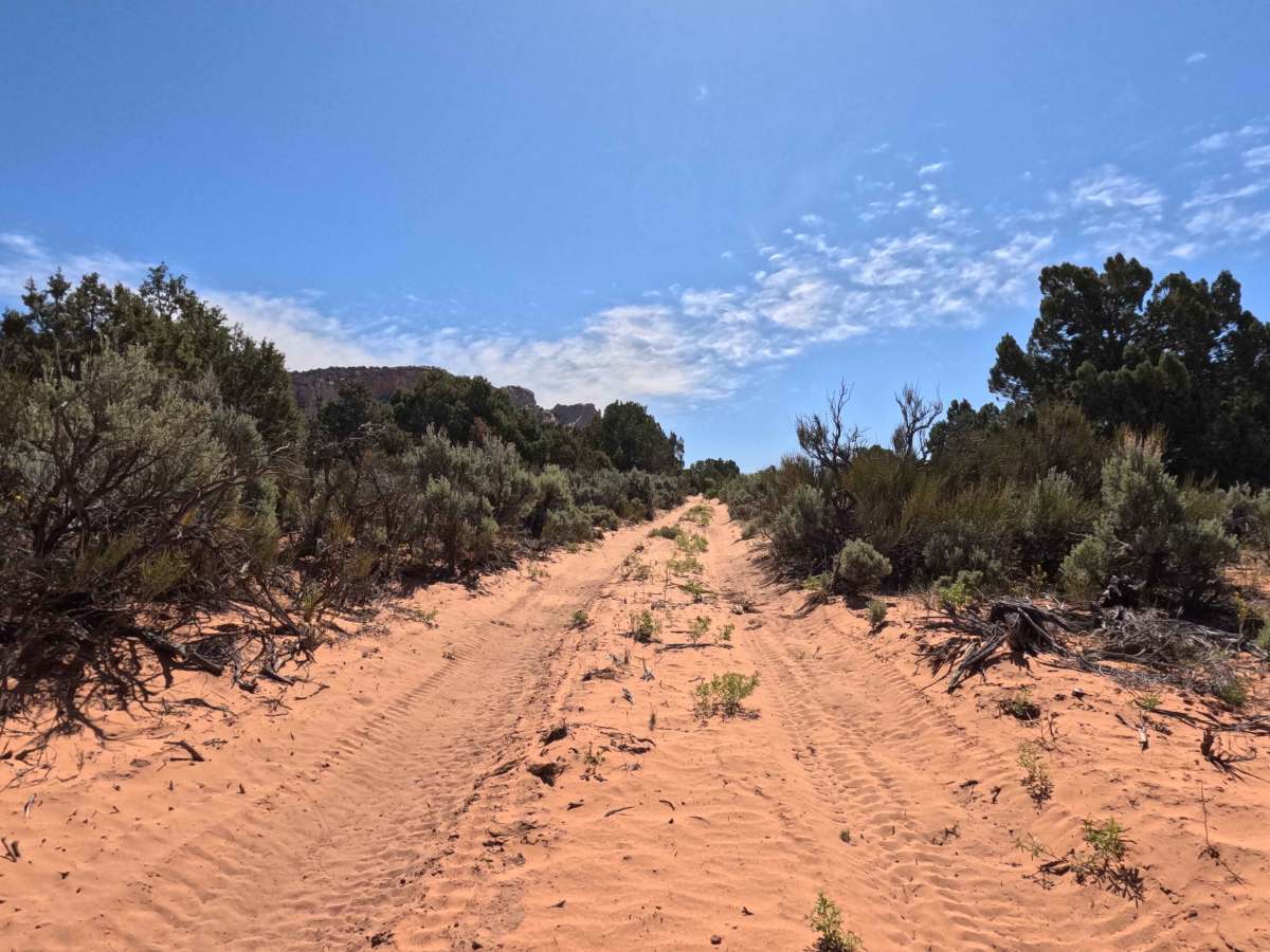 BLM 106E photo 5