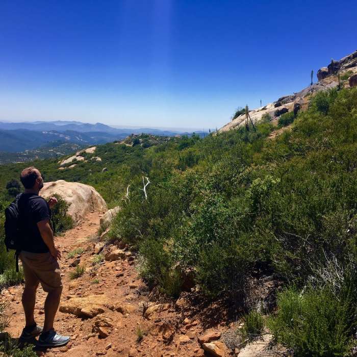 Near Oakzanita Summit Trail