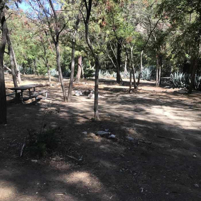 Near Gould Mesa Loop