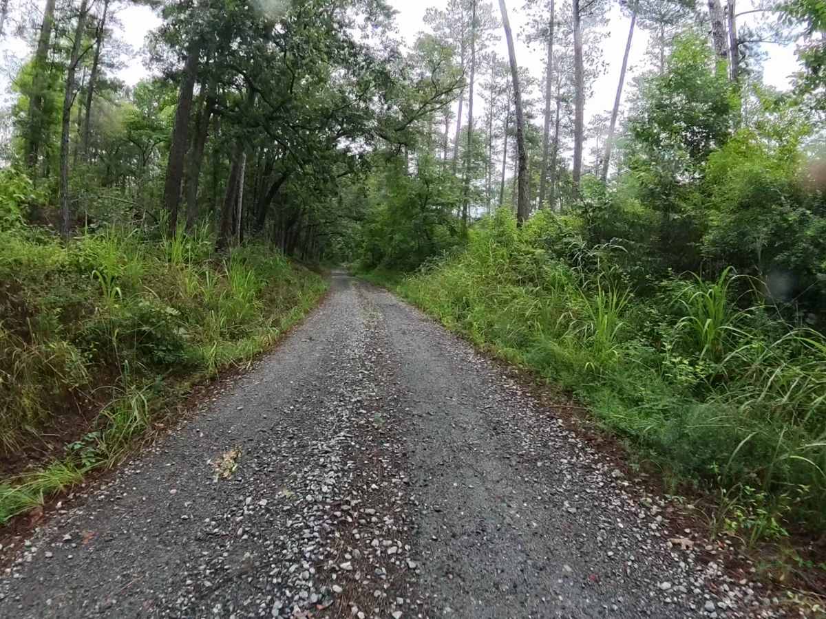 Sugar Hill Road photo 5