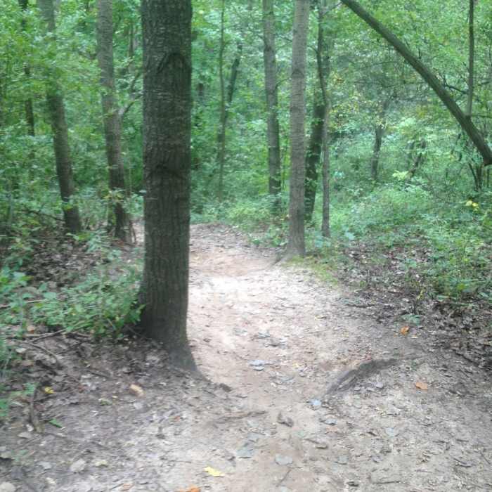 Near Cannonsburg State Game Area: Egypt Valley Loop Hike