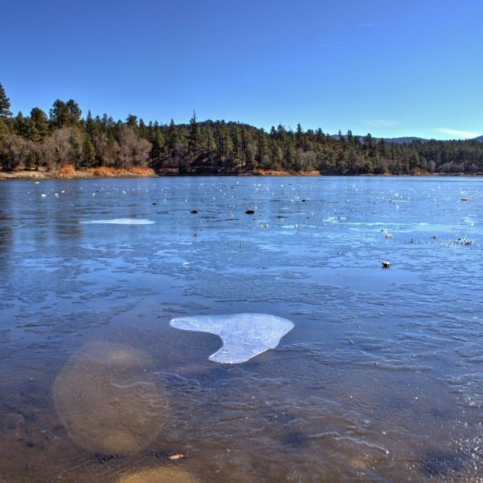 Lynx Lake Near Lynx Lake Trail #0311