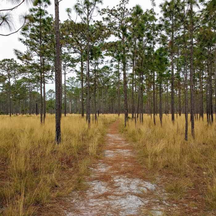 Near Volksmarch Trail