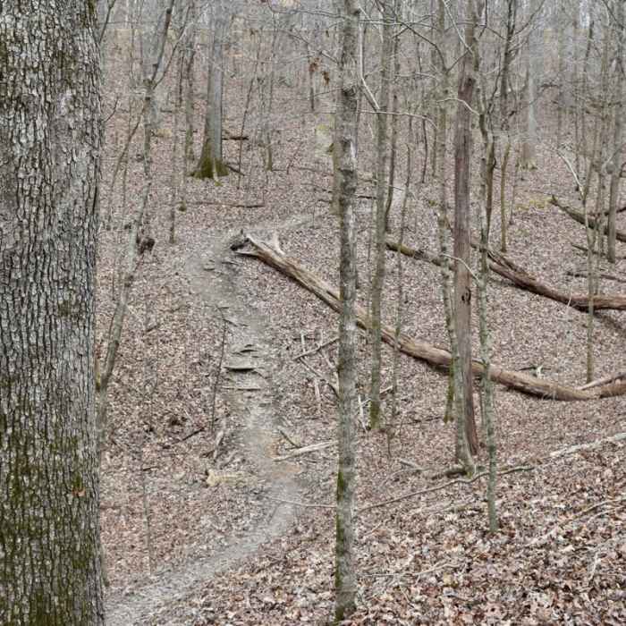 Near Montgomery Bell Trail Near Montgomery Bell Trail