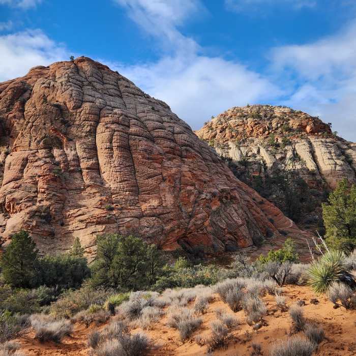 View from the trail Near The Vortex