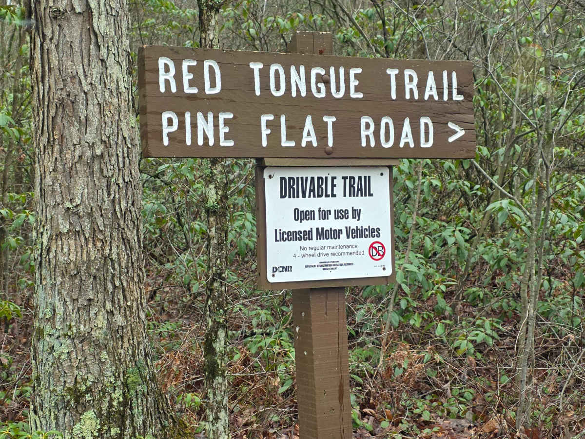 Red Tongue Trail trail photo