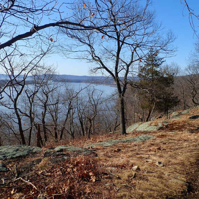 Near Dunderberg, Bald Mountain, and Timp Loop