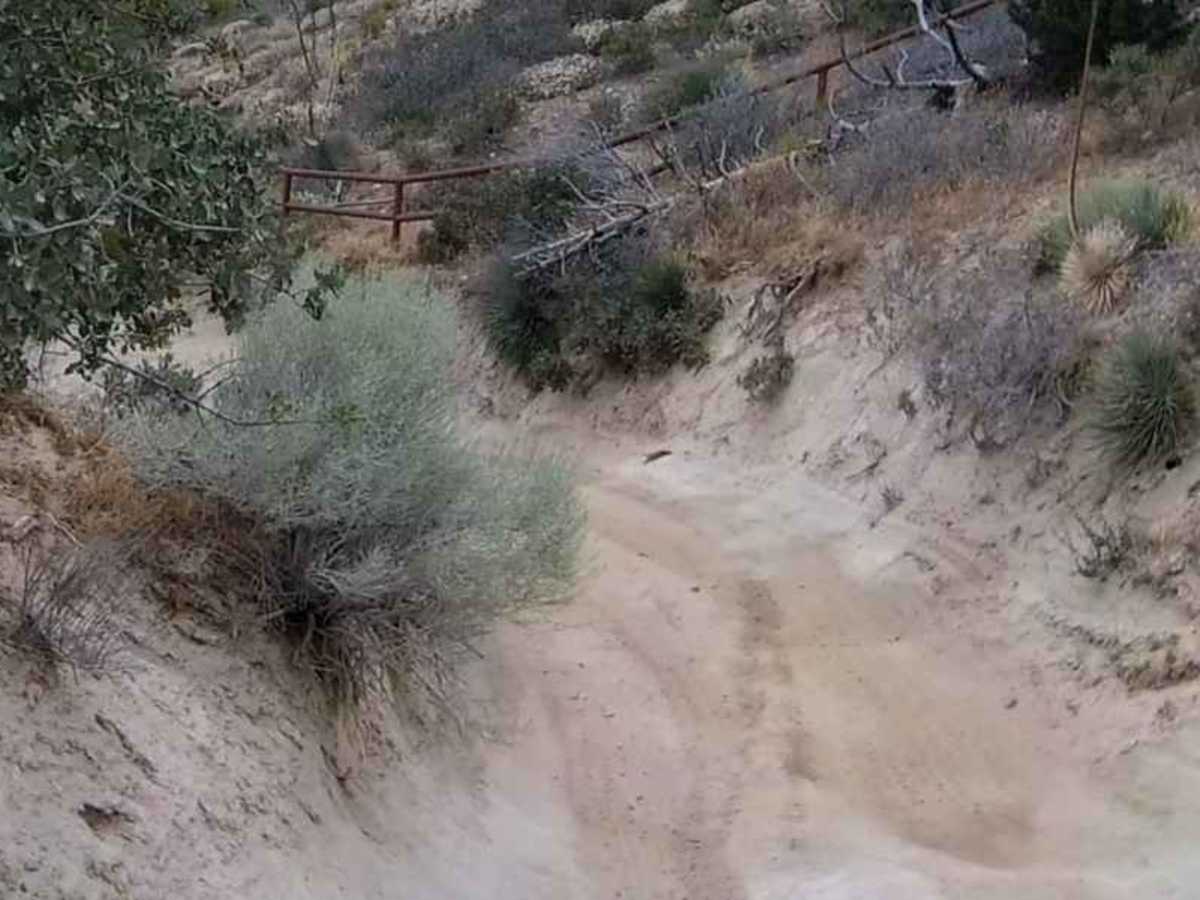 East Frazier Trail photo 6