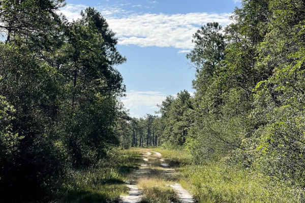 Lenoir Road