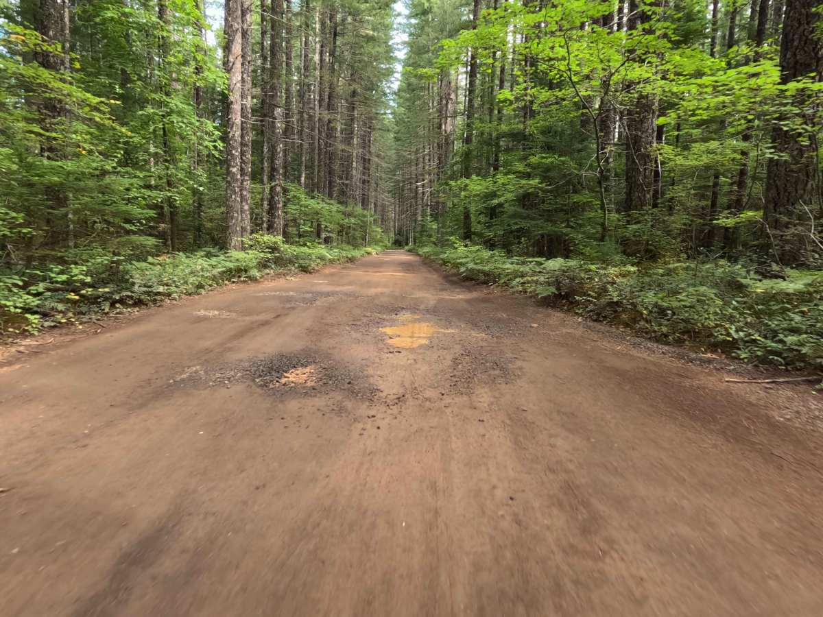 Ninemile Creek - FS 3062000 photo 3