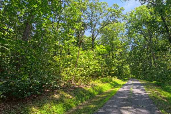 Mule Road