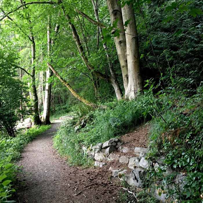 Near Jackson Park Trail