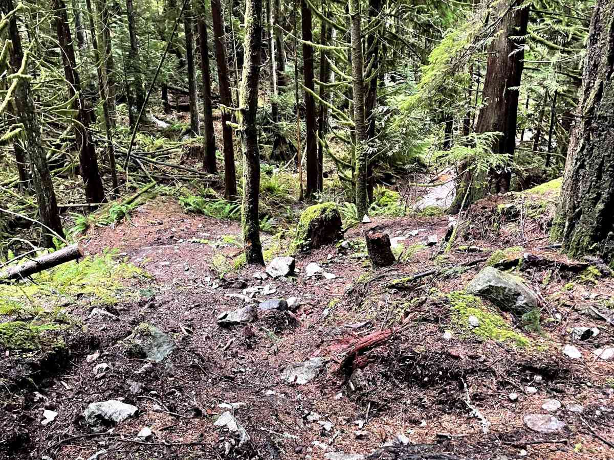 Beggers Gulch Connector photo 4