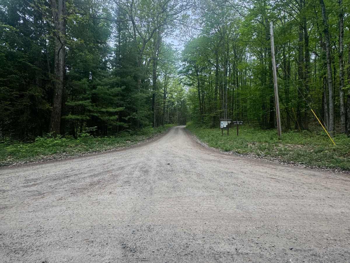 Spring Brook Road photo 2