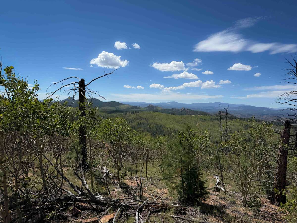 Hilltop Trail 733  photo 6