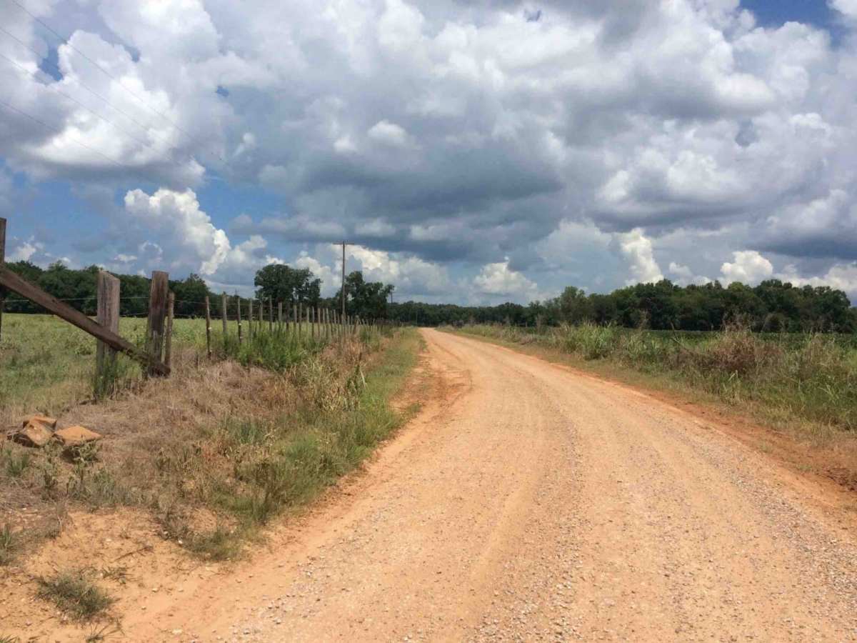 Grassy Lakes Wildlife Management Area (WMA) Central Trail photo 5