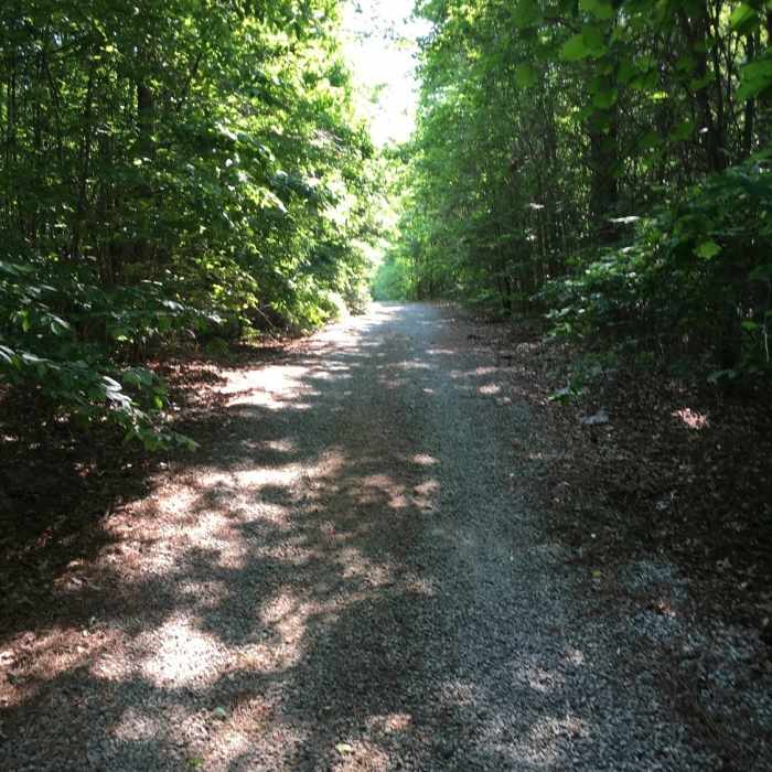 Near Ellis Park Trail